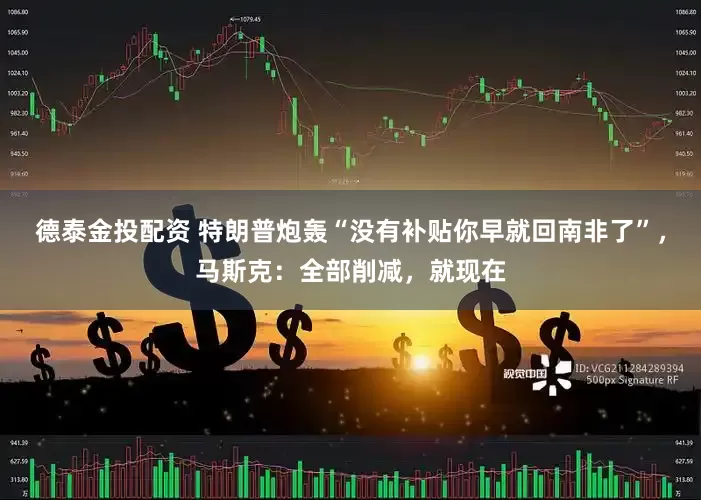 德泰金投配资 特朗普炮轰“没有补贴你早就回南非了”，马斯克：全部削减，就现在